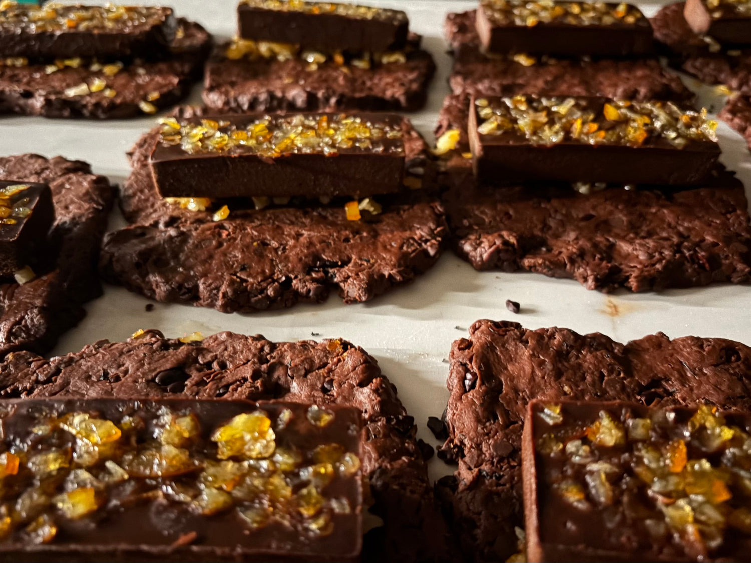 季節のおすすめ